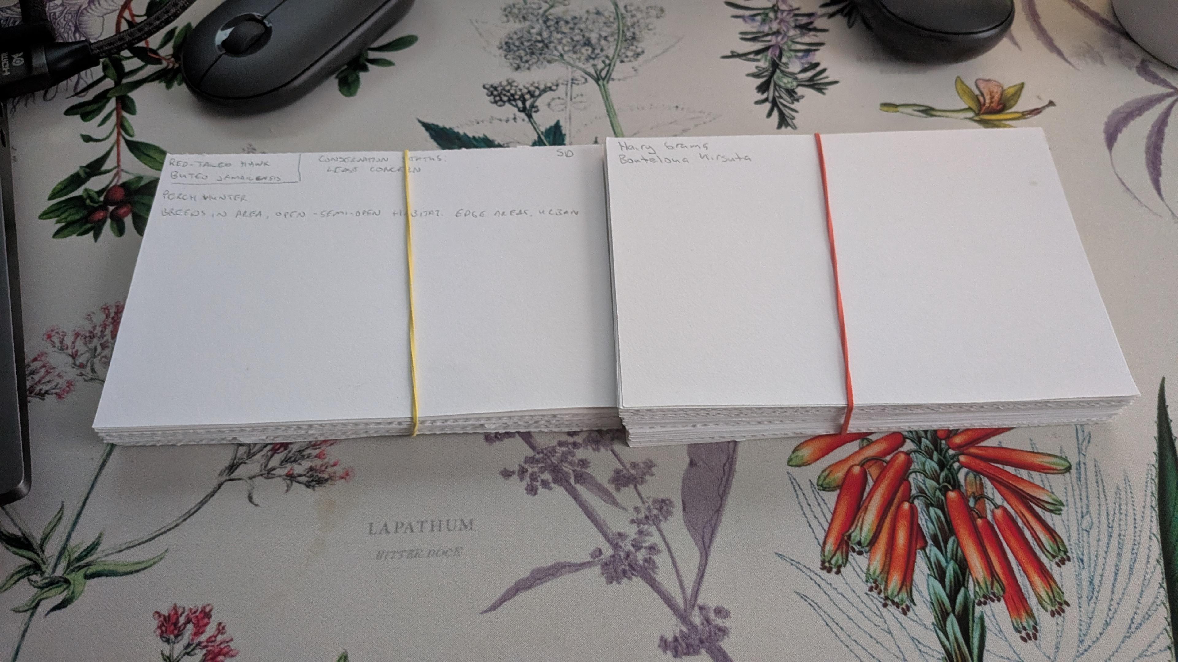 stack of cards with species written on them