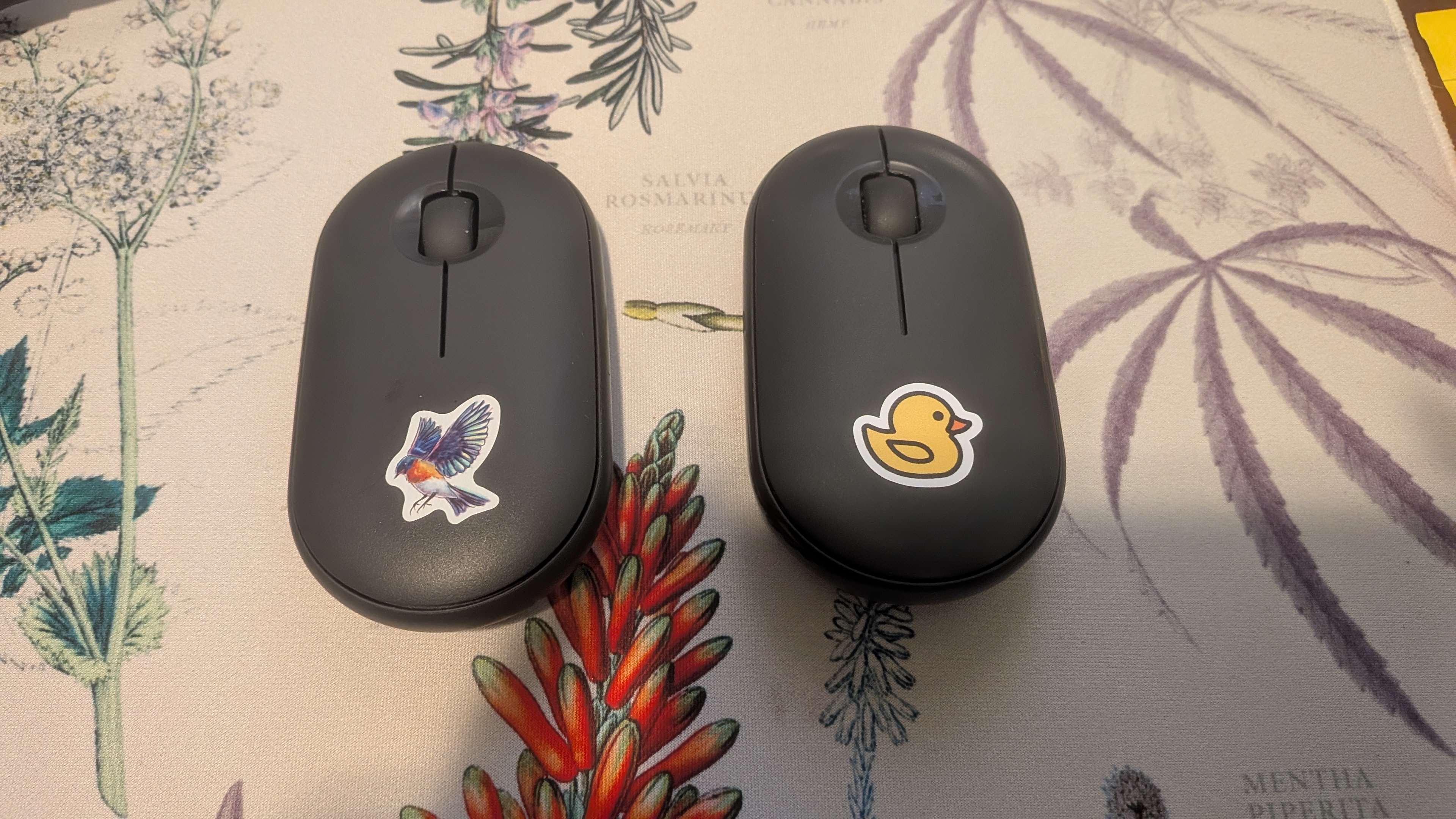 Photo of two computer mice with different stickers